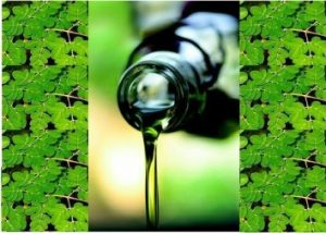 huile de moringa